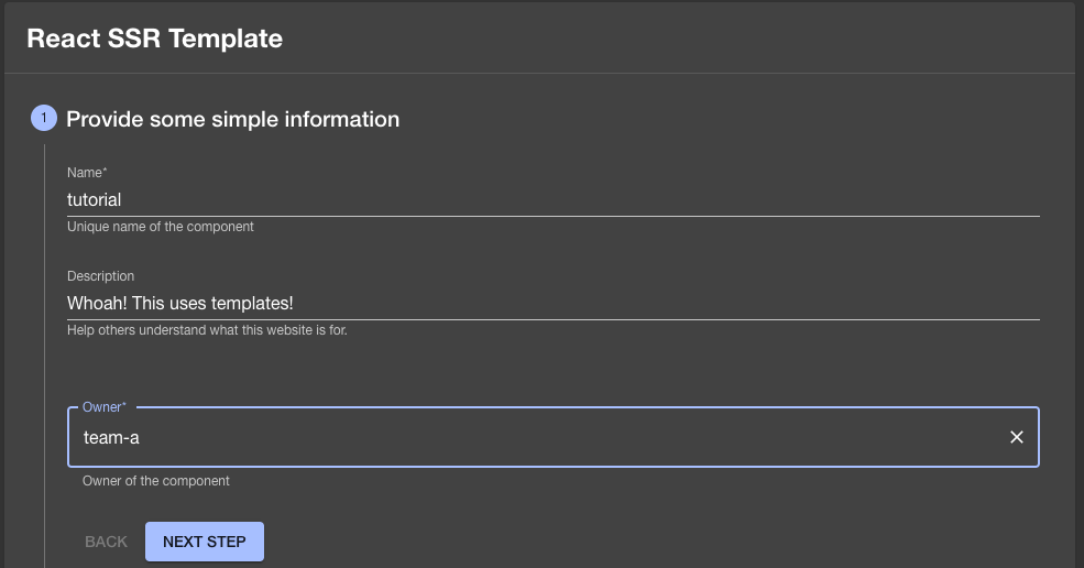 Software template deployment input screen asking for a name, the group owning this, and a description