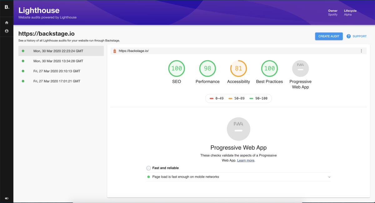 Screen shot of the resulting audit in the Lighthouse plugin